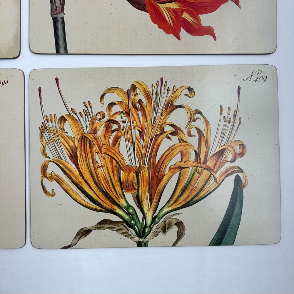 Cala Home Hardboard Cork Backed Floral Placemats from Colonial Williamsburg - Picture 6 of 13